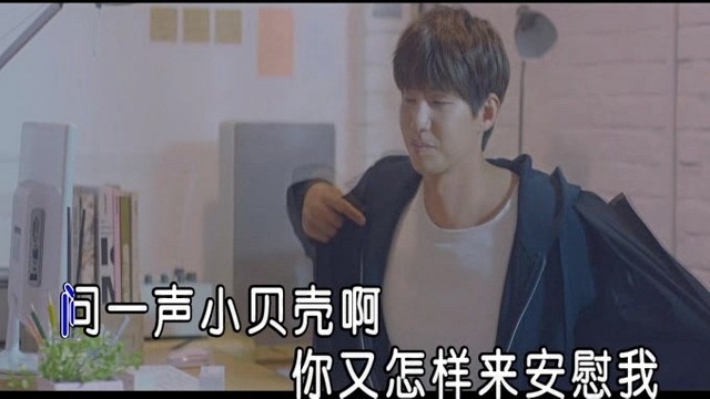 林淑容 - 小贝壳之恋 (KTV版)