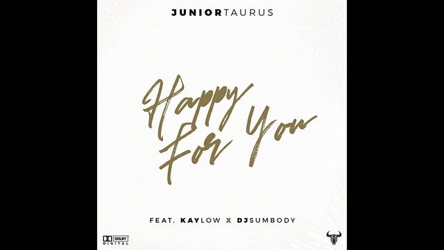 Junior Taurus - Happy for You (音频版)