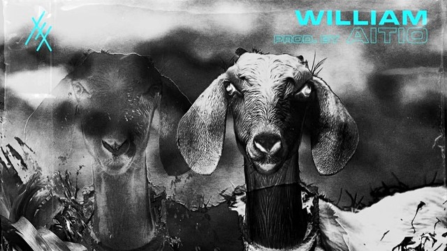 William - shawty (音频版)