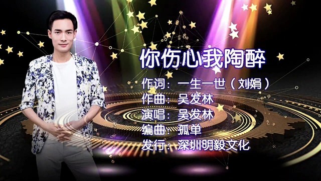 吴发林 - 你伤心我陶醉