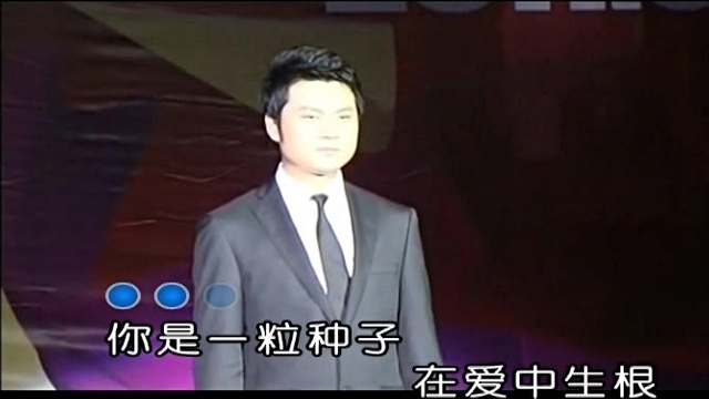 张大伟 - 祝福好人 (KTV版)