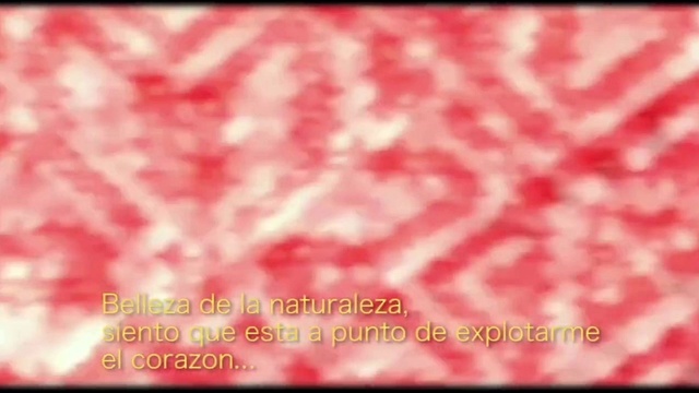 León Larregui - Visitantes (歌词版)