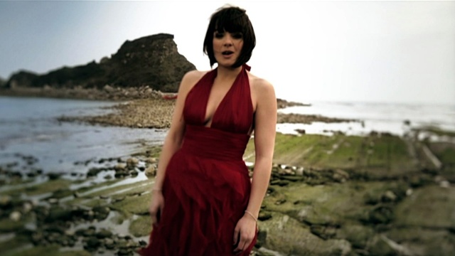 Anne Etchegoyen - Hegoak  (Les ailes)