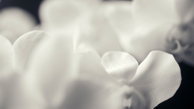 Clare O'Connell - Vocalise: I. Lamentoso