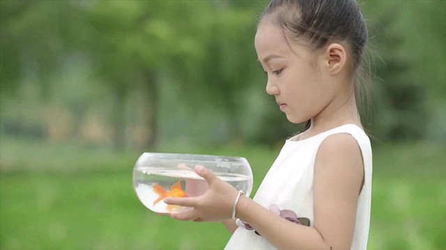 王歌伦 - 那片天