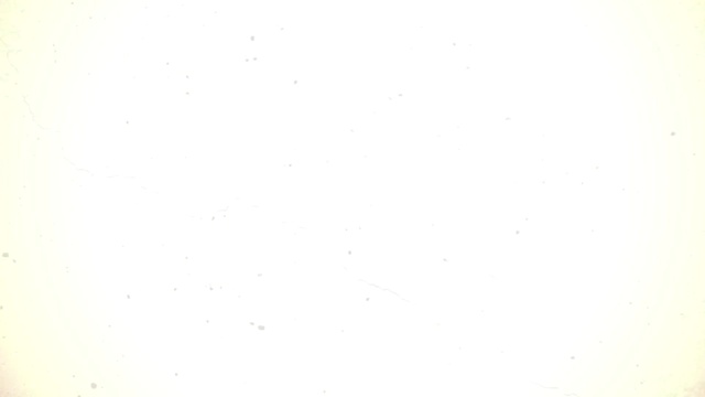 THE HOOPERS - Vuelta Atrás (歌词版)