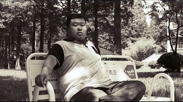 郑奔腾 - 青春的林荫