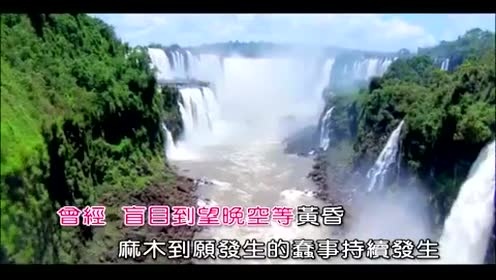 杨千嬅 - 火鸟 (KTV版)