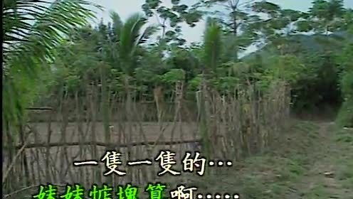 蔡凤凰 - 快乐的农家 (KTV版)