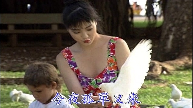 郭金发 - 温泉乡的吉他 (KTV版)