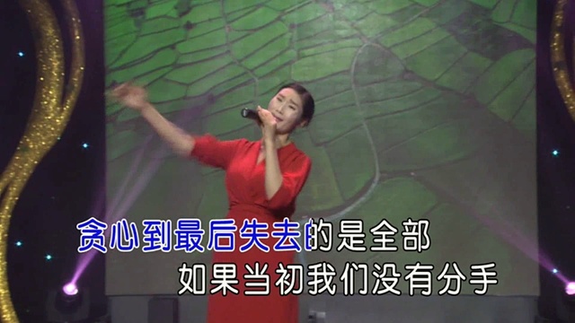 中国摇滚女王 - 恍然大悟 (KTV版)