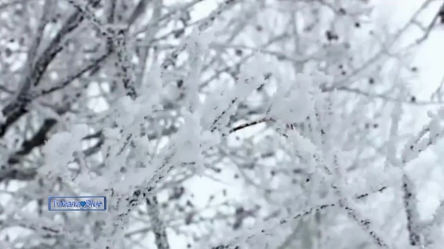 Giovanni Marradi - Try To Remember