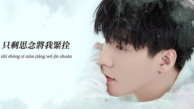 王博文 - 第一场雪 (歌词版)