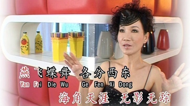 刘秋仪 - 魂萦旧梦 (KTV版)