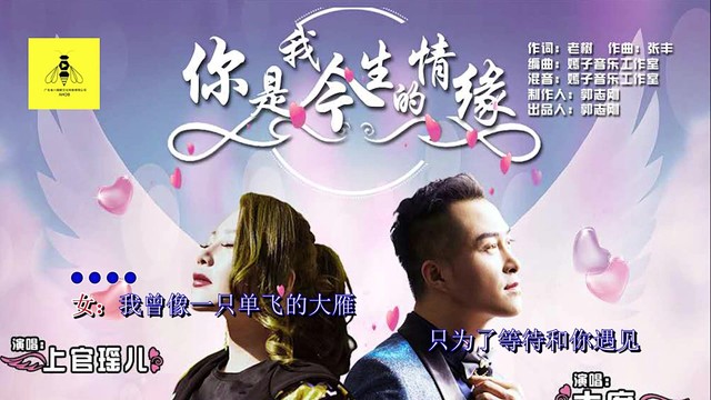 大度 - 你是我今生的情缘 (KTV版)