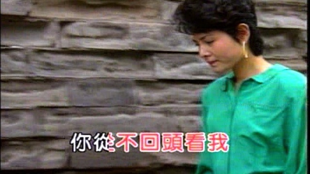 杭宏 - 我醉了吗 (KTV版)