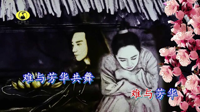 梅子 - 安公子寄思