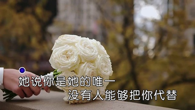 苍狼 - 她的梦醒了