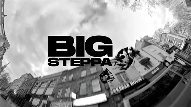 PS Hitsquad - Big Steppa