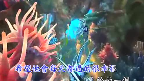 思小妞 - 没有忘掉他 (KTV版)