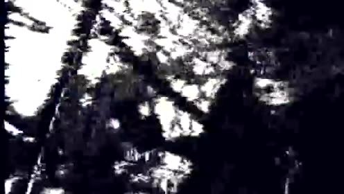 Sterling - Ubesvaret Opkald