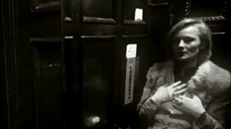 Suie Paparude - Moartea boxelor