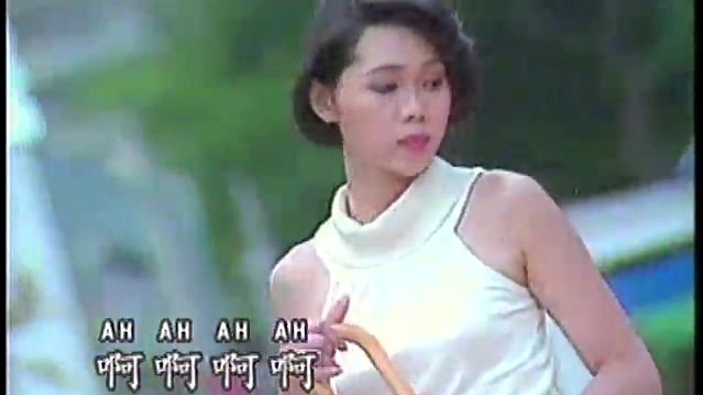 刘文正 - 飞鹰 (KTV版)