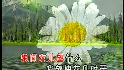 奚秀兰 - 雨不洒花花不红 (KTV版)