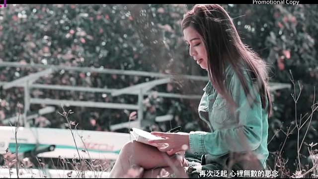 歌莉雅 - 喜欢你