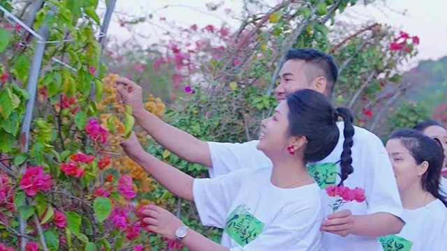 徐子崴 - 不负好春光