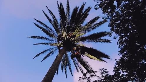 Astronomyy - Swim Deeper