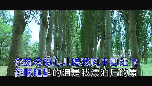 华峰 - 想念草原慈祥的母亲 (KTV版)