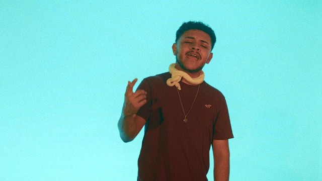 Fina Lealtad - Toque De Vibora