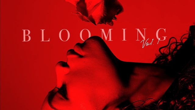 Kodie Shane - NOT TONIGHT (音频版)