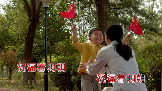 柳柳 - 为爱导航 (KTV版)