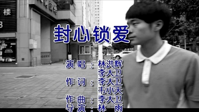 林洪辉 - 封心锁爱 (KTV版)