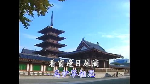 蓝萍 - 痴情的夜快车 (KTV版)