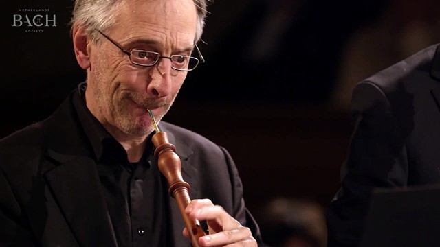 Jos van Veldhoven - Bach - Cantata Schwingt freudig euch empor BWV 36  (Live)