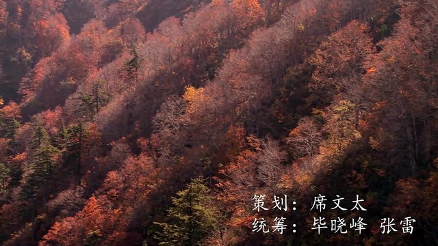 陈曦 - 家乡的五朵