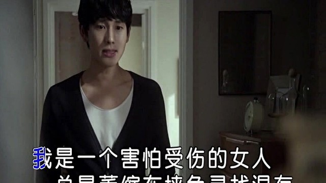 黎丹 - 受伤的女人 (KTV版)