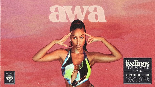 AWA - Feelings (Punctual Remix)