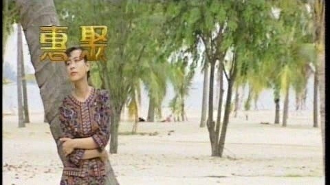 林美惠 - 摸心肝想看觅 (KTV版)