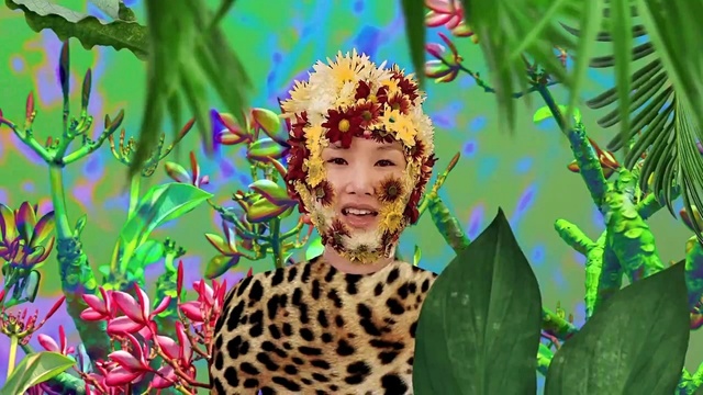 Basement Jaxx - Back 2 The Wild