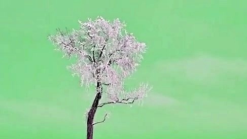 李交通（Li Traffic） - 无论 (音频版)