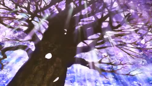 桥本美雪 - 恋桜