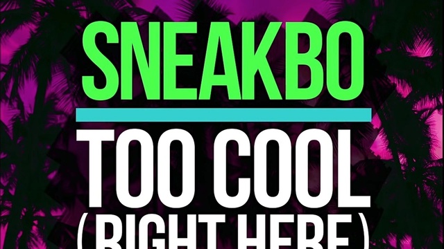 Sneakbo - Too Cool (Right Here) (音频版)