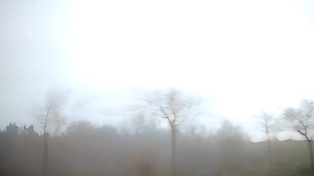 黄贯中 - 广东道