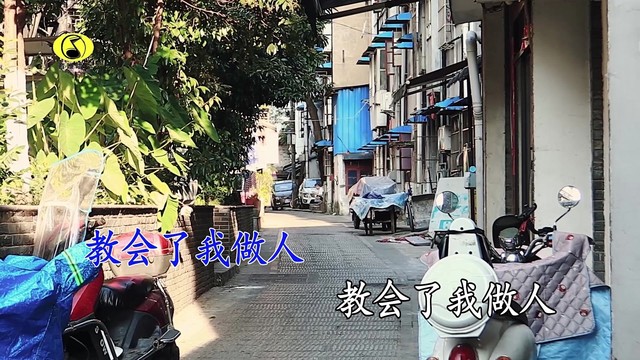 雪地野草 - 小山村