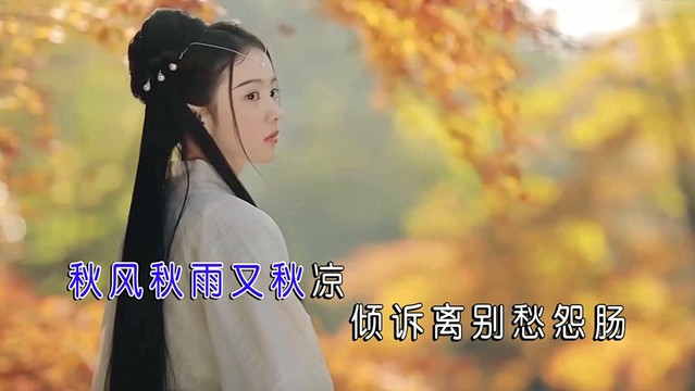 益久久（徐晓辉） - 泪落秋殇 (KTV版)