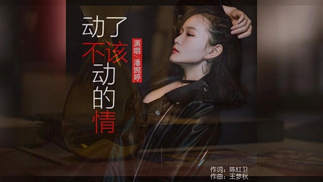 潘婉婷 - 动了不该动的情 (KTV版)